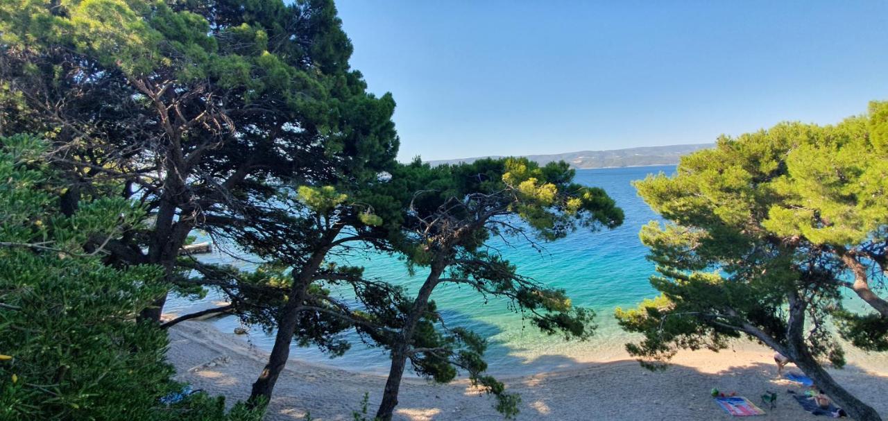 Sagitta All Inclusive Light ロゴズニッツァ エクステリア 写真